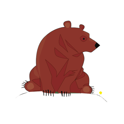 Bear Quiz Image